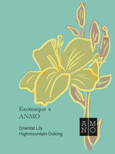 Load image into Gallery viewer, Exoteaque x ANMO Oriental Lily - taiwanese High mountain Oolong