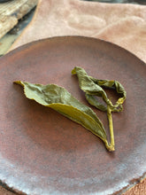 Load image into Gallery viewer, Exoteaque x ANMO Oriental Lily - taiwanese High mountain Oolong