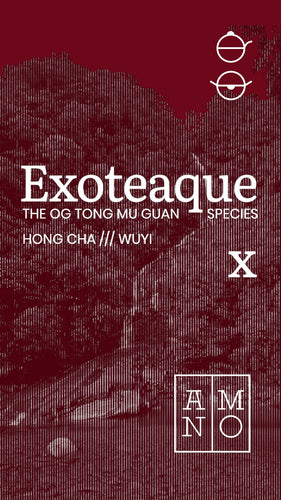 PREORDER: WUYI HONGCHA. THE OG Tong Mu Guan Species — EXOTEAQUE x ANMO Collector