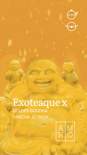 PREORDER: WUYI YANCHA. Golden Buddha — EXOTEAQUE x ANMO Collector