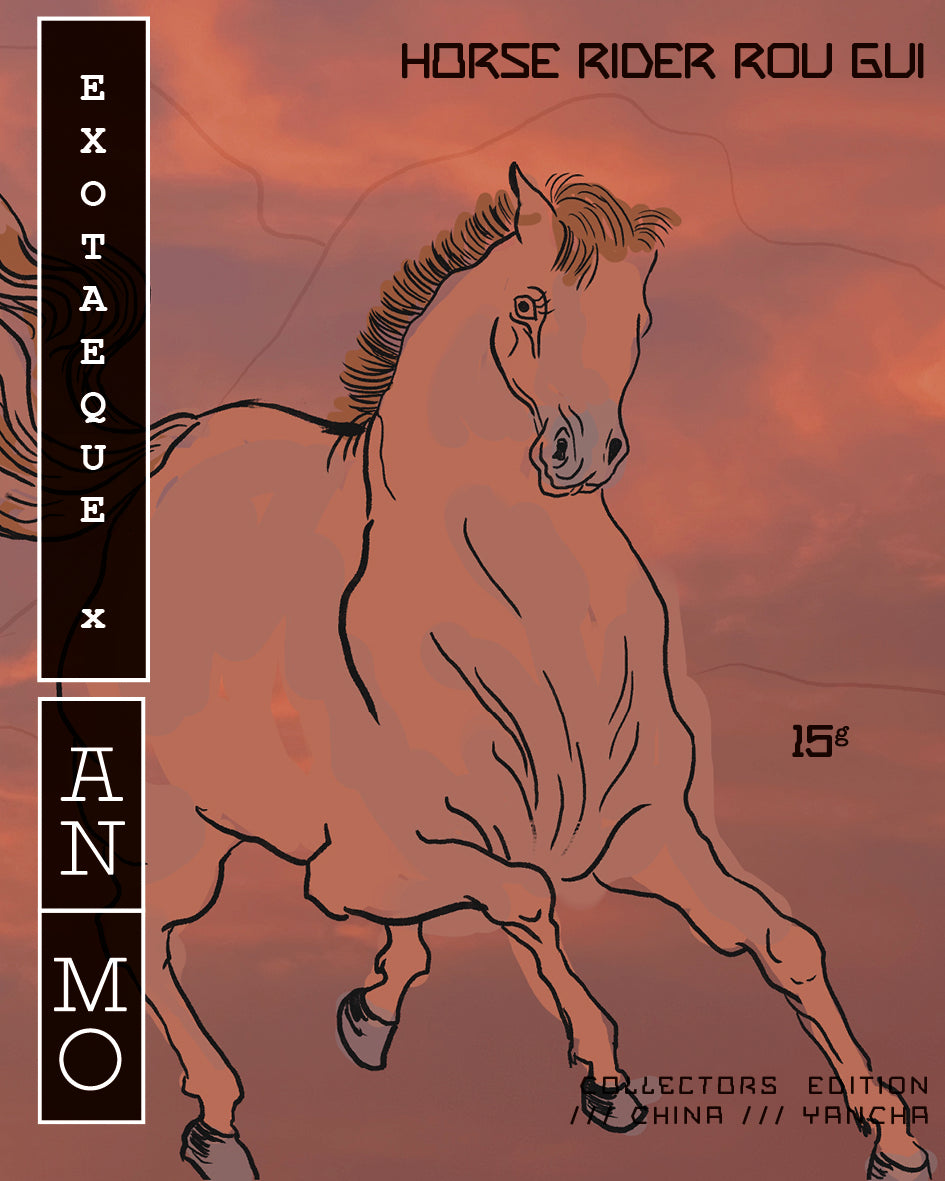 Wuyi Yancha “Horse Rider ROU GUI” Exoteaque x ANMO Collectors edition