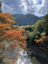 Load image into Gallery viewer, JAPAN Nr.2 Tea Class trip Exoteaque x ANMO x RYUONHARA 21st - 24th of Oktober 2024