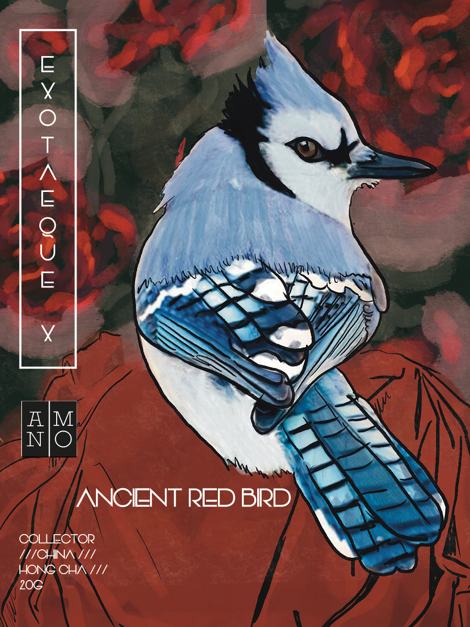 Exoteaque x ANMO Collectors Ancient Red Bird