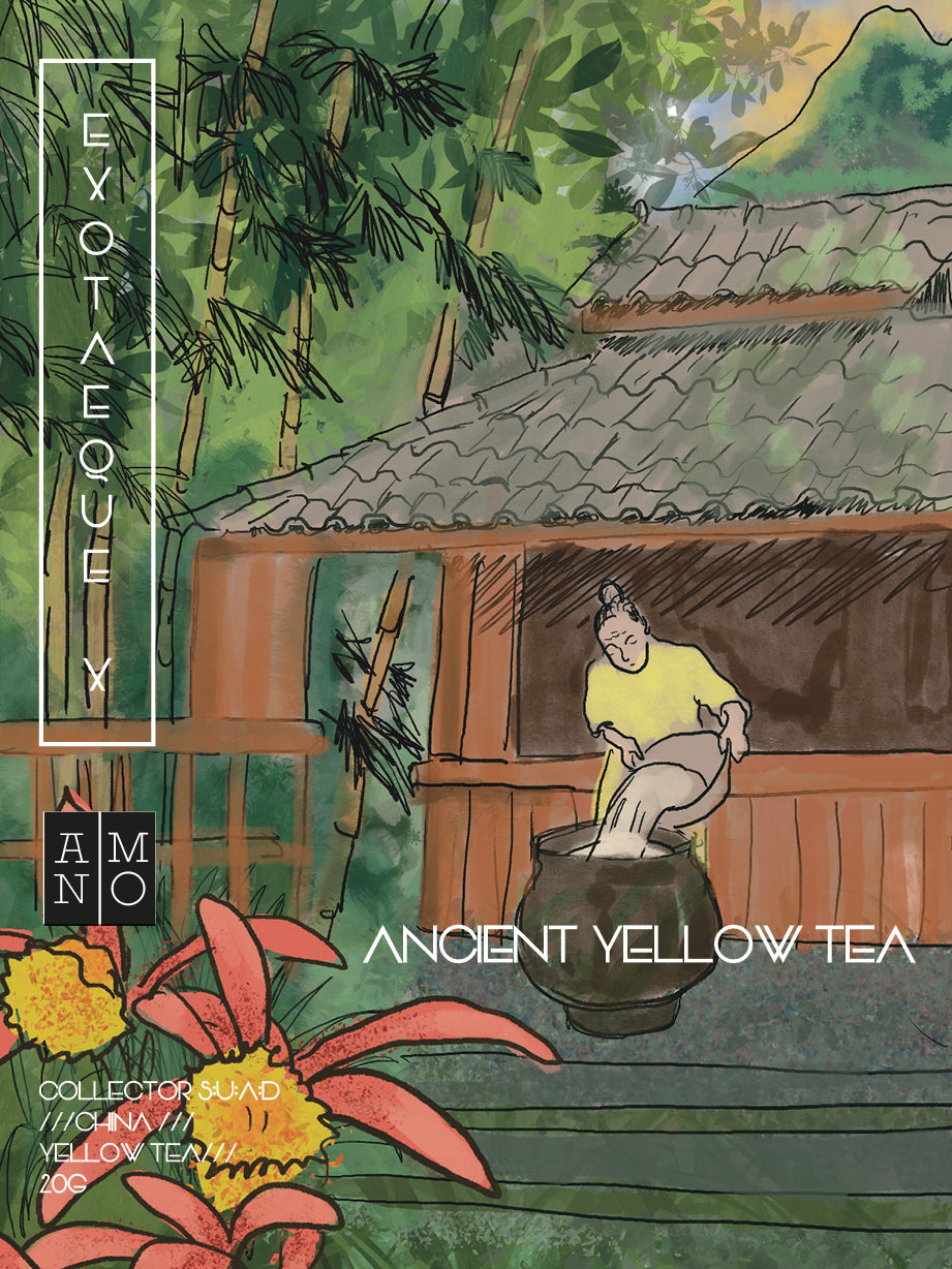 Exoteaque x ANMO Collectors Ancient Yellow Tea