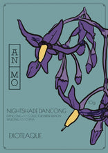 Load image into Gallery viewer, COLLECTION. Chinese Collectors Brews —  Exoteaque x ANMO Collector