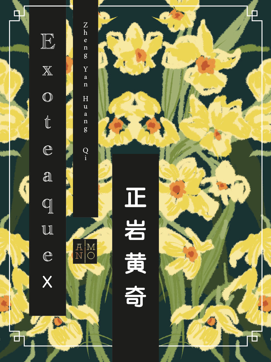 Exoteaque x ANMO Collectors Edition Zheng Yan Huang Qi 正岩黄奇 Yancha