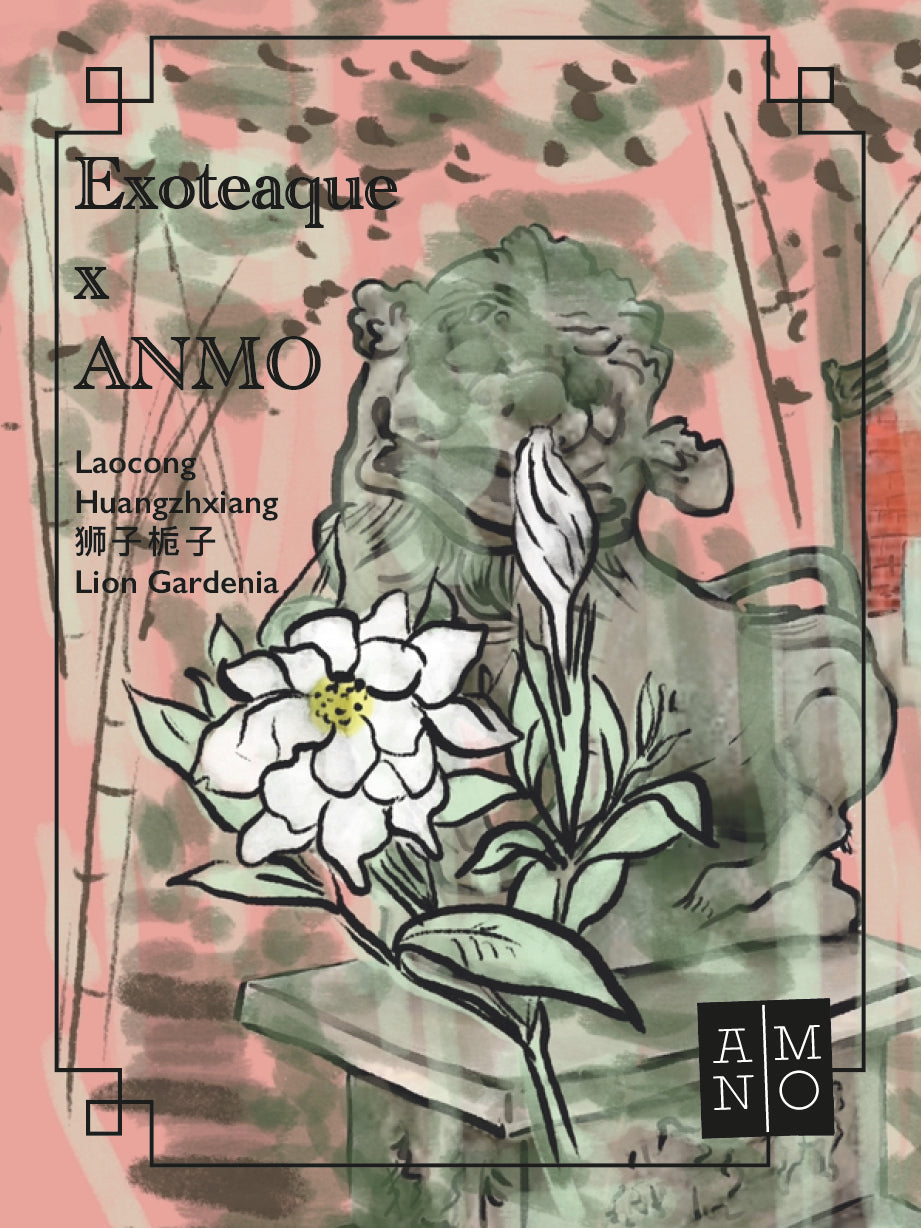 Preorder Exoteaque x ANMO Collectors edition Laocong Huangzhixiang 狮子栀子 Lion Gardenia Dancong